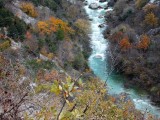DSCN0630 (2)